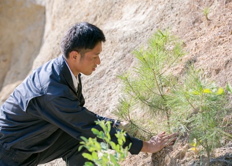 【初回限定価格】松葉茶（国産無農薬）愛知県産 【地域支援プラン】[41袋以上の購入]