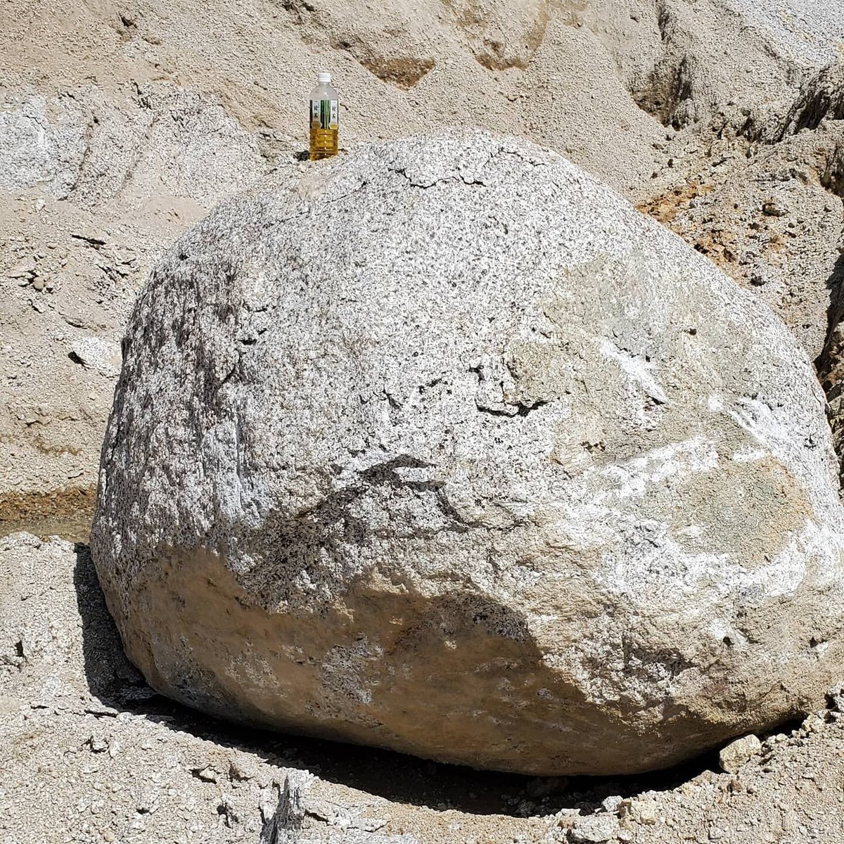 限定】花こう岩 ※1点限り | マウンテン マテリアルズ【DIYに特化した山