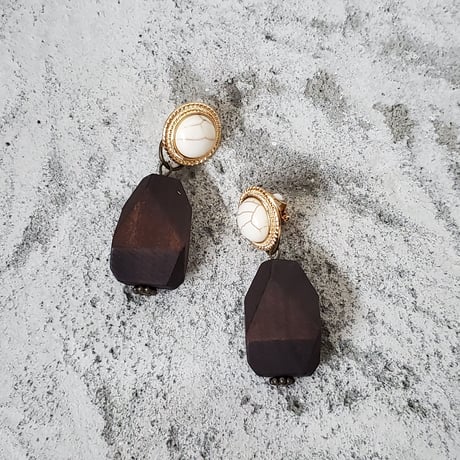 2way stone×wood earring