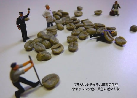 旬のコーヒー豆２種 (豆200g×2種=豆400g)