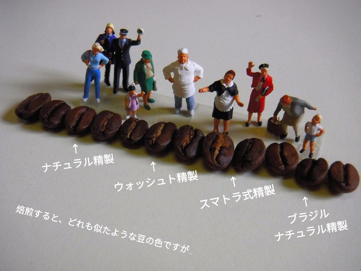 【モンズ05】コーヒー生豆4種類セット！　※送料無料 sg-gb-cbcl-400.jpg