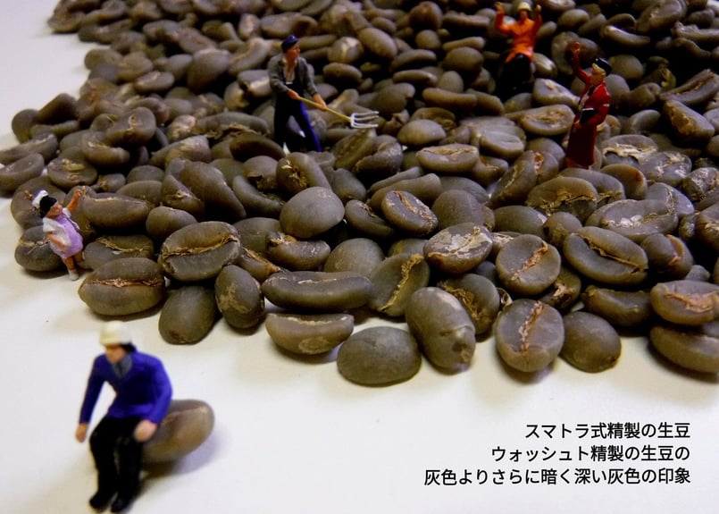 旬のコーヒー豆4種 (豆200g×4種=豆800g) | カフェコメルシオ