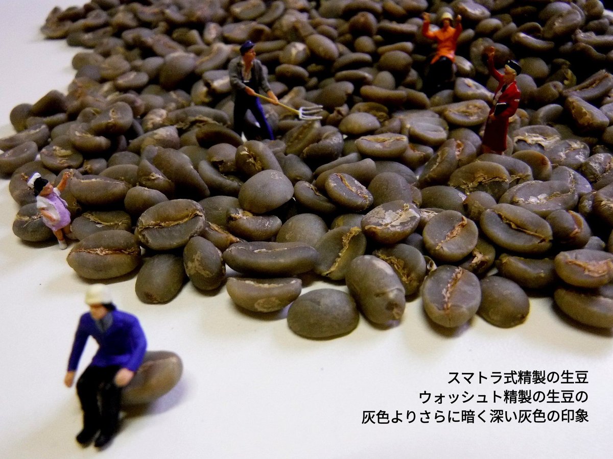 【エイトマン】コーヒー生豆4種類セット！　※送料無料 エイトマン】コーヒー生豆4種類セット！ ※送料無料 エイトマン