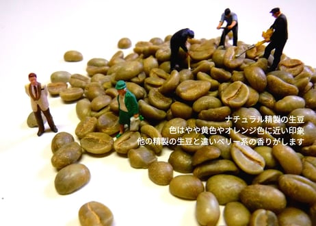 旬のコーヒー豆２種 (豆200g×2種=豆400g)