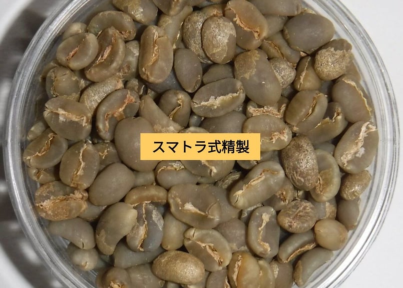 コーヒー生豆】240g×3種 | カフェコメルシオ