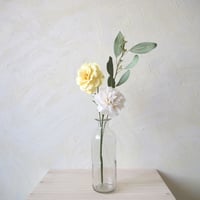 White  Carnation Mix
