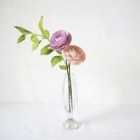 Ranunculus mix I