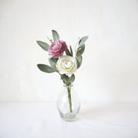 Ranunculus mix II