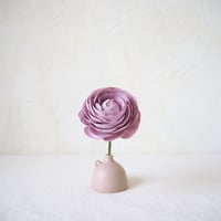 Ranunculus（Pink）