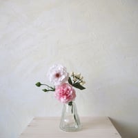 Coral Pink  Carnation Mix