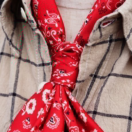 Austin Accent scarf
