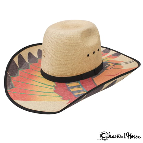 Charlie 1 Horse Straw Hat Indian