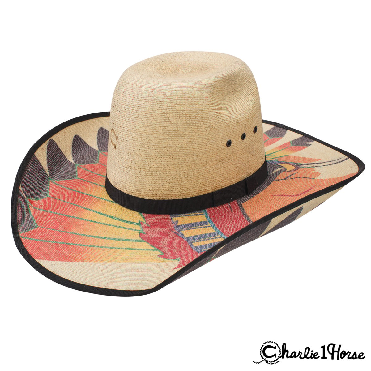 Charlie 1 Horse Straw Hat Indian | NewDeal