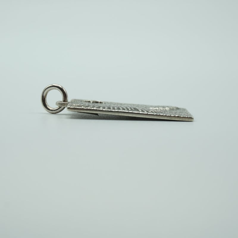 Darryl Begay pendant ダリルビゲイ ペンダント classic_30004946_2