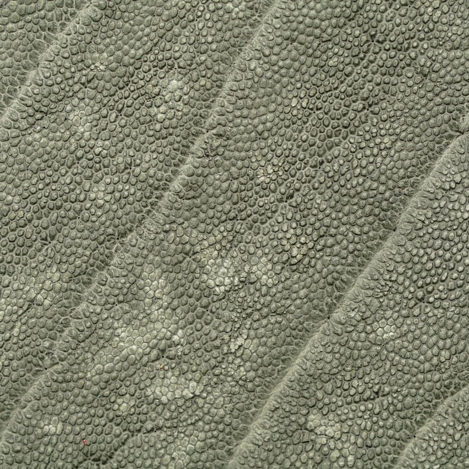 6793166bf0358e0e64f6eae9