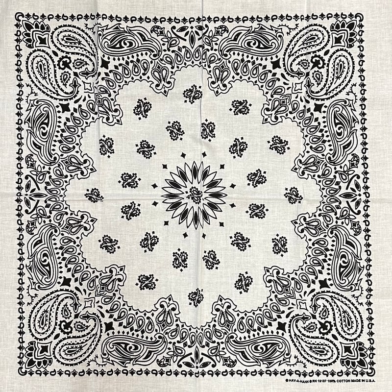 HAV-A-HANK TRADITIONAL PAISLEYS BANDANA | NewDeal