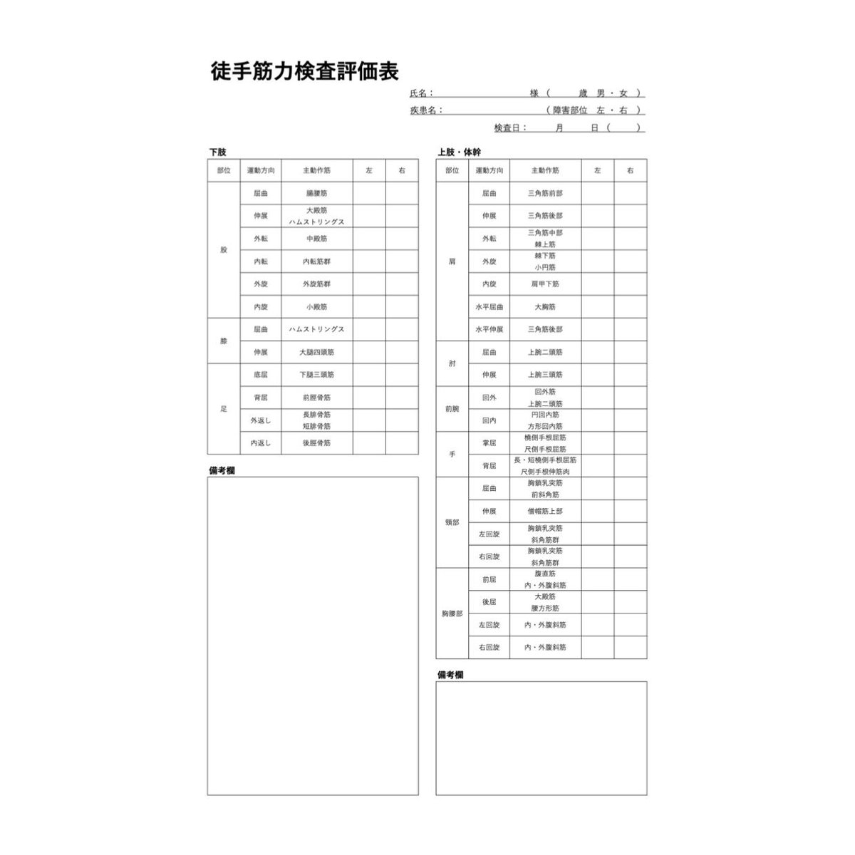 理学療法評価表 徒手筋力検査 | PTstudy/ピーティスタディ