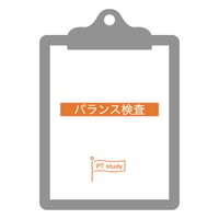 理学療法評価表　バランス検査