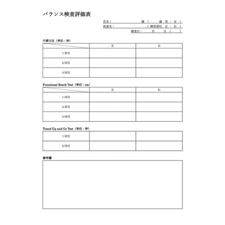 理学療法評価表　バランス検査