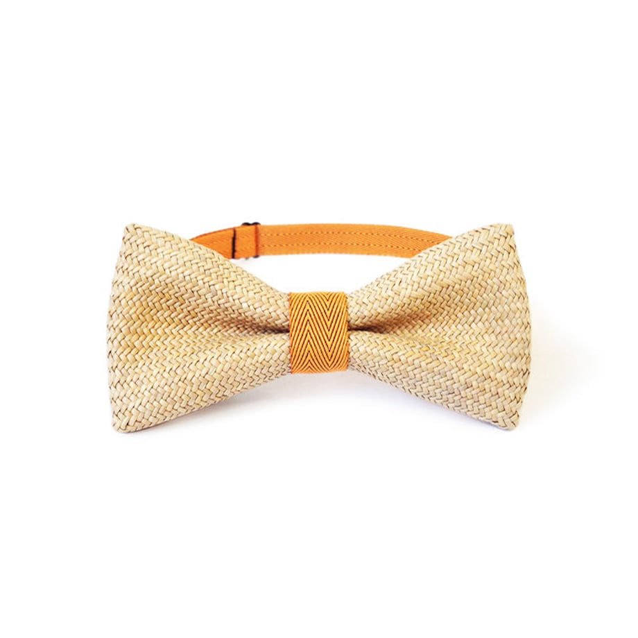 5e9964c351576228e0e0bee2