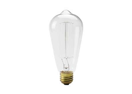 Edison Bulb “Signature(L) / 60W / E26”