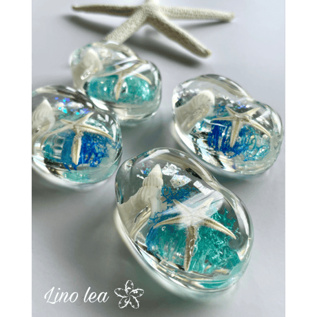 Oceanlea Aqua  beans【Blue】