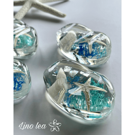 Oceanlea Aqua  beans【Blue】