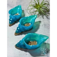 Aqua Shell Tray - Ocean Layer Edition