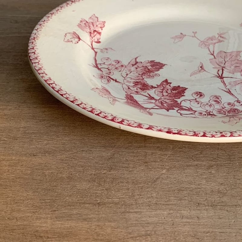 GIEN赤GROSEILLESプレート | quoi de neuf