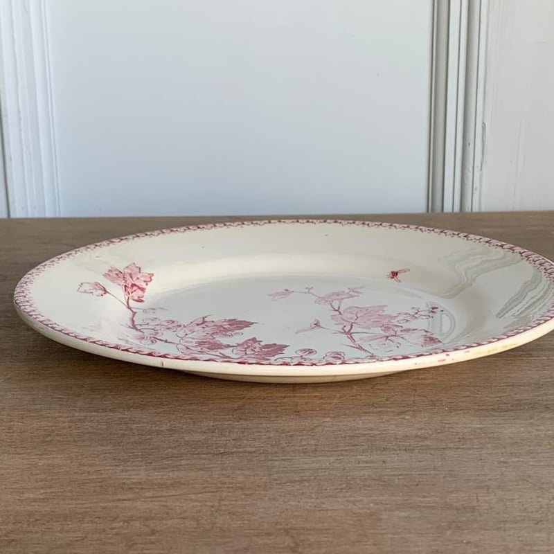 GIEN赤GROSEILLESプレート | quoi de neuf