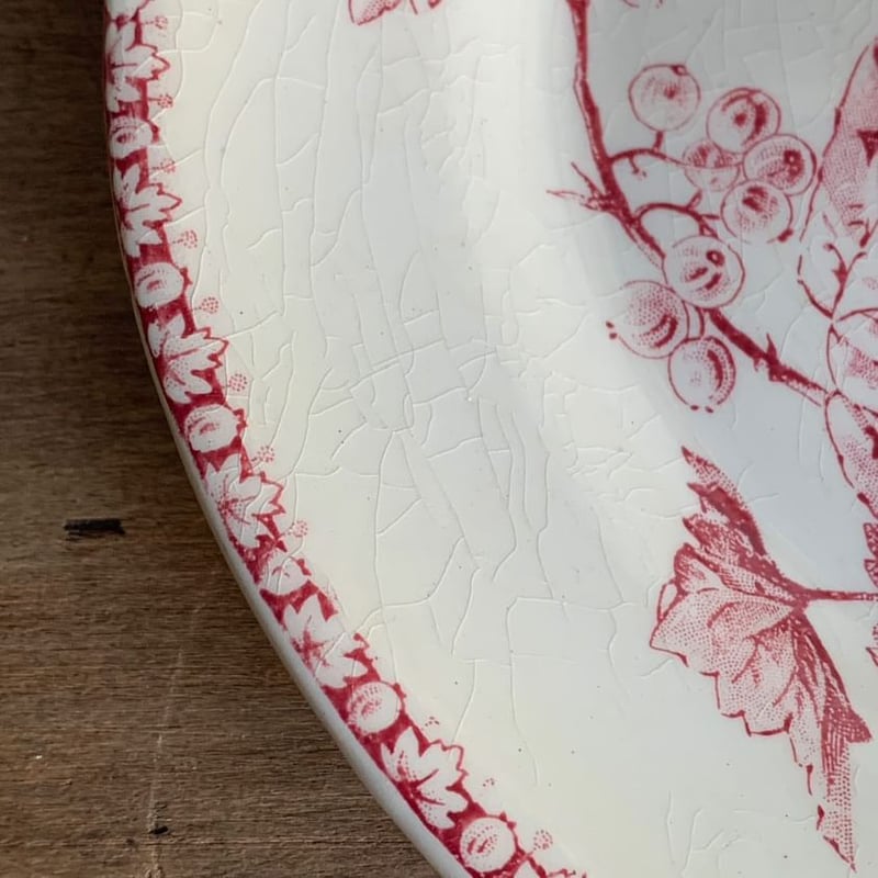 GIEN赤GROSEILLESプレート | quoi de neuf