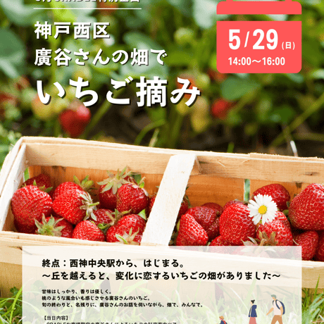 ＜5月＞神戸西区・廣谷さんの畑で、いちご摘み！ 【終点：西神中央駅から、はじまる。 〜丘を越えると、変化に恋するいちごの畑がありました〜】