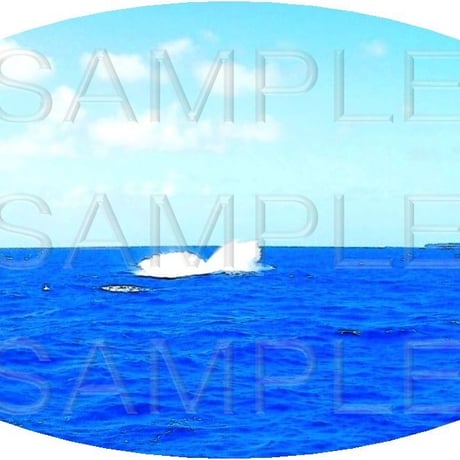 鯨のスプラッシュ (Ｍサイズの画像 : 1190px x 660px (楕円形と外接長方形))