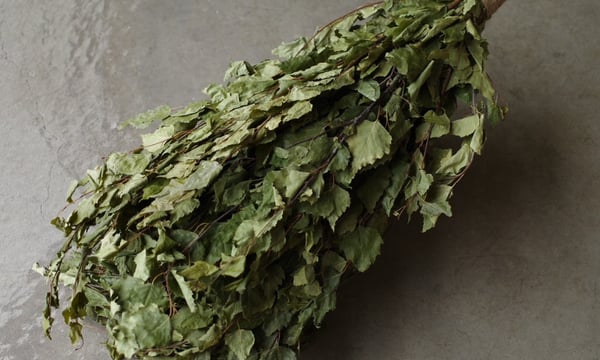 Vihta JP
