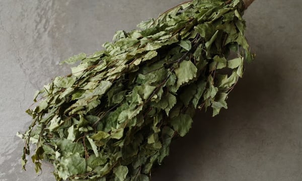 Vihta JP