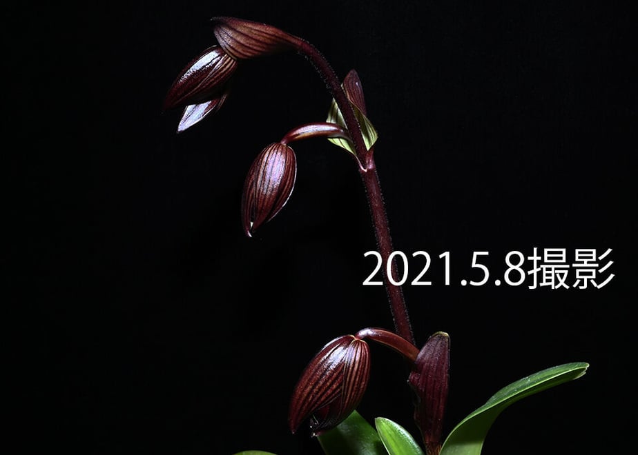 609643f8da019c64c7c0cb5c