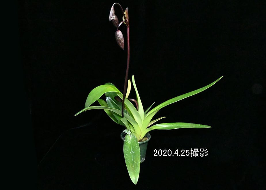 5ea3dc0434ef010636dae9b9