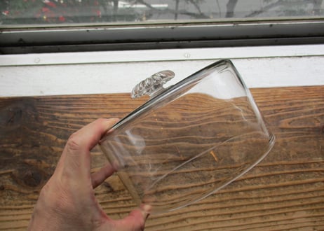 Glass Cake Dome【B】