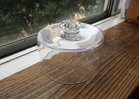 Glass Cake Dome【B】
