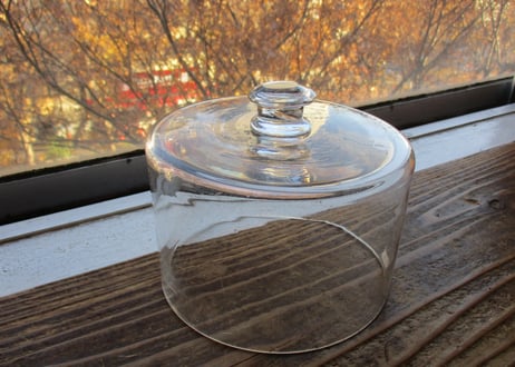 Glass Cake Dome【D】