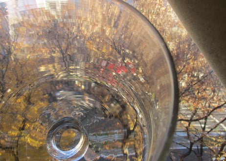 Glass Cake Dome【D】