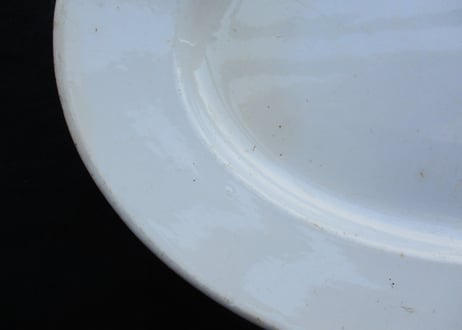 Oval Plate / 33cm 「Digoin & Sarreguemines」