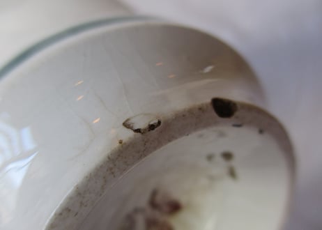 Brûlot Cup & Saucer「Sarreguemines」