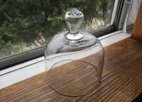 Glass Cake Dome