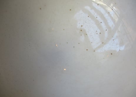 'Cafe au lait' Bowl / White × Yellow「BOCH」