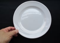 Faience Dinner plate「Moustiers」【B】