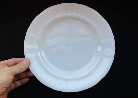 White Dinner plate「Petrus Regout」【D】