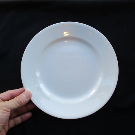 Dessert Plate / 21cm『Sarreguemines』