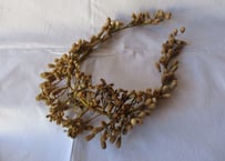 Wedding Wax flower / Tiara【A】