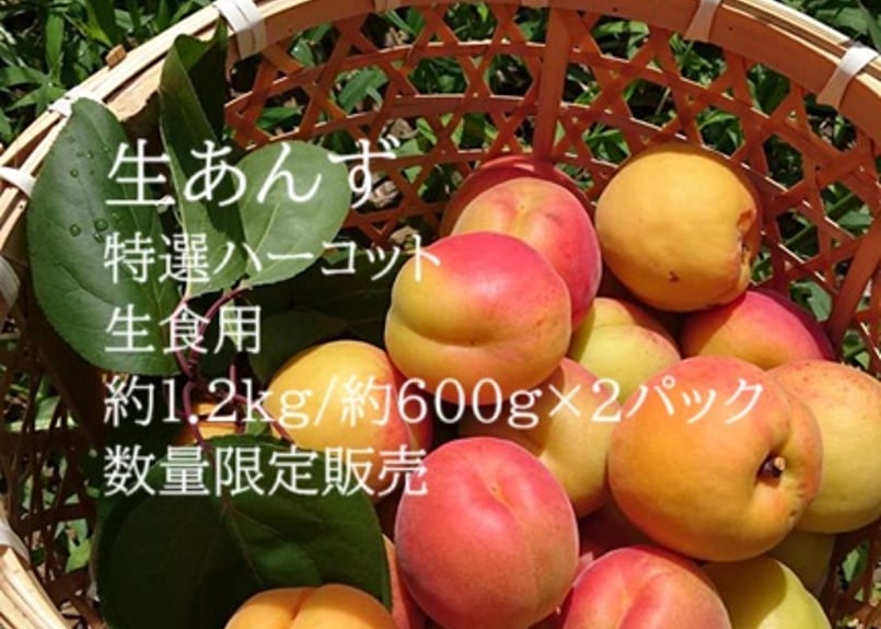 A 特選 ハーコット・生食用 約1.2kg/ 約600g×2パック 送料込（クール便